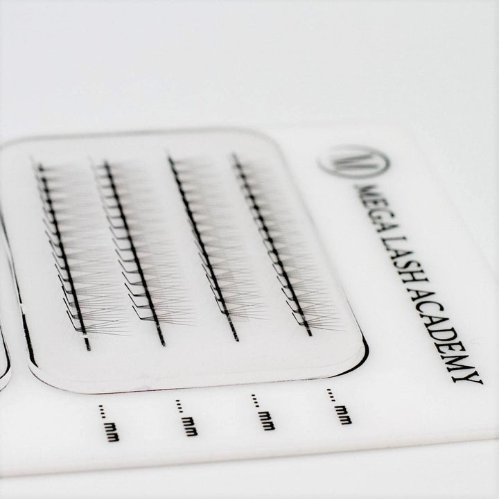 L Curl 5D Rapid Promade Fans - 600 Fans - Mega Lash Academy