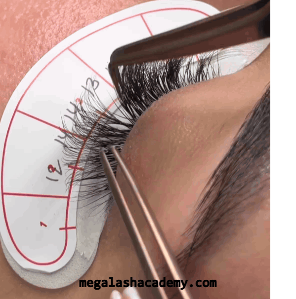Lash Mapping Stickers - 70 pairs Accessories Mega Lash Academy