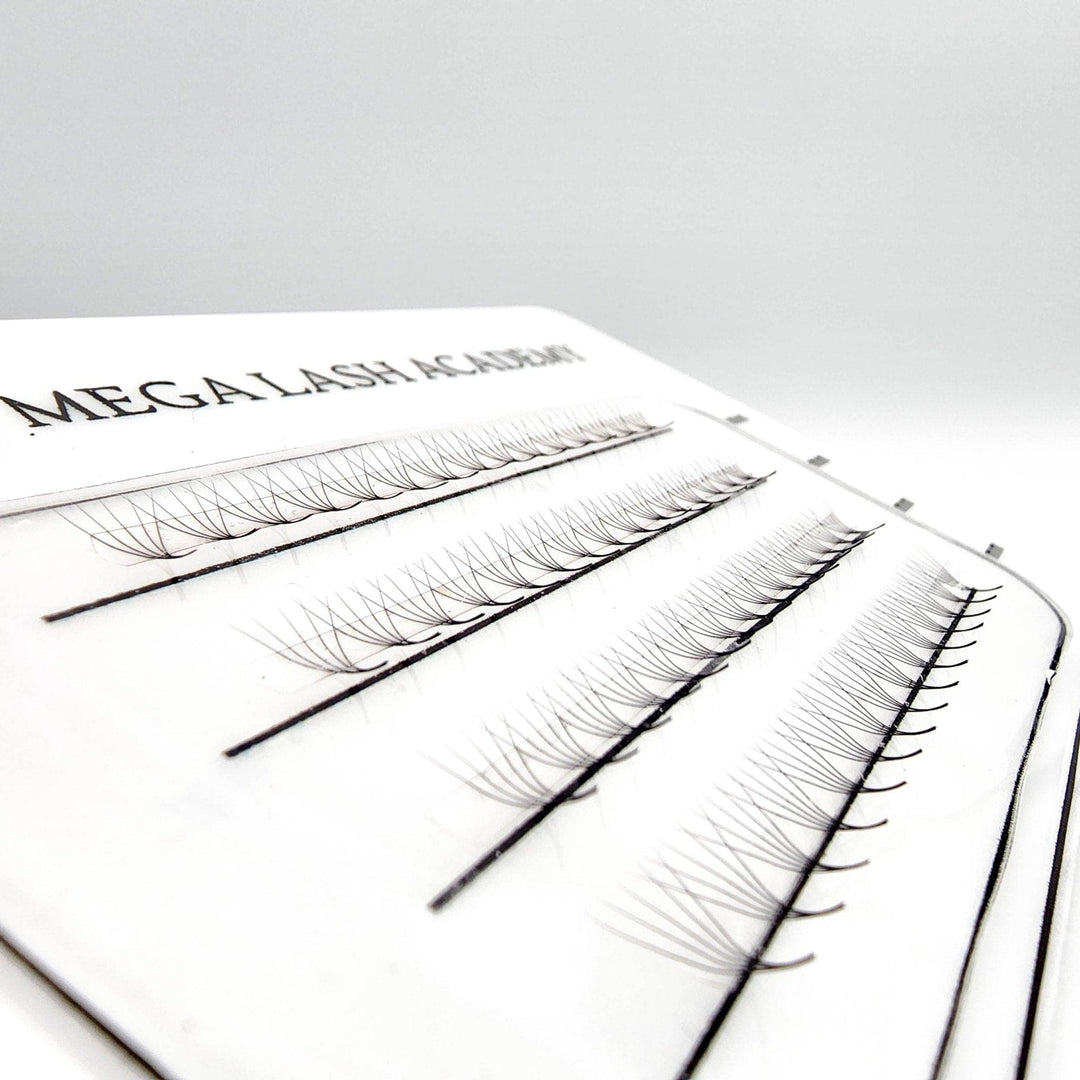 M Curl 5D Rapid Promade Fans - 600 Fans - Mega Lash Academy