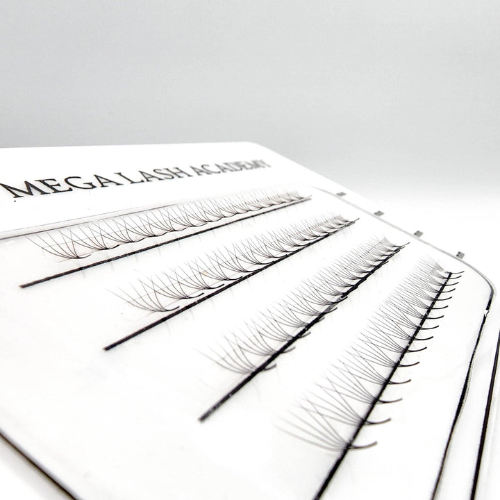 M Curl 5D Rapid Promade Fans - 600 Fans - Mega Lash Academy