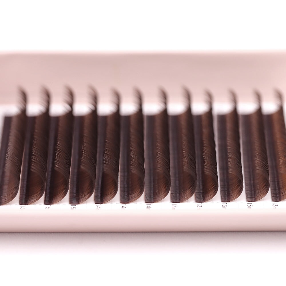 Medium Brown Classic Lash Tray Lash Trays Mega Lash Academy