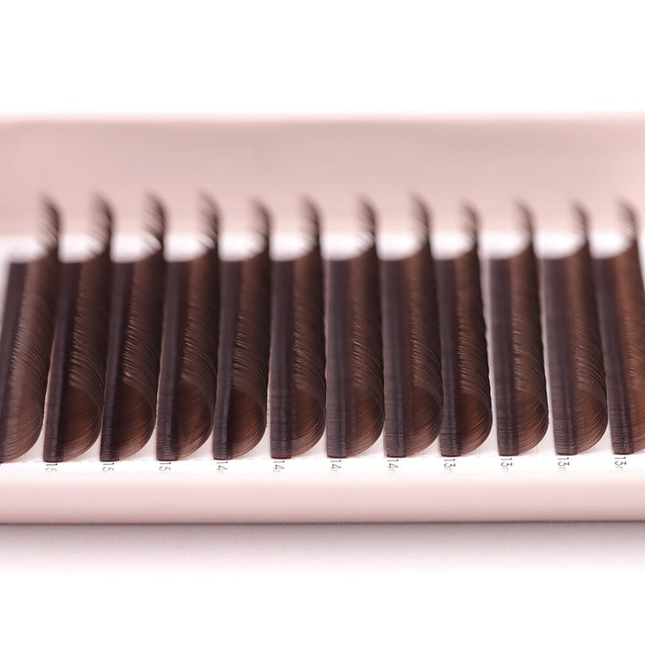 Medium Brown Classic Lash Tray Lash Trays Mega Lash Academy