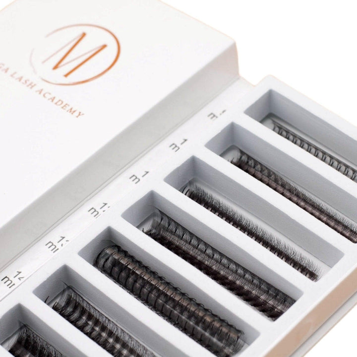 Narrow 10D Rapid Promade Fans® - 1050 Fans - Mega Lash Academy