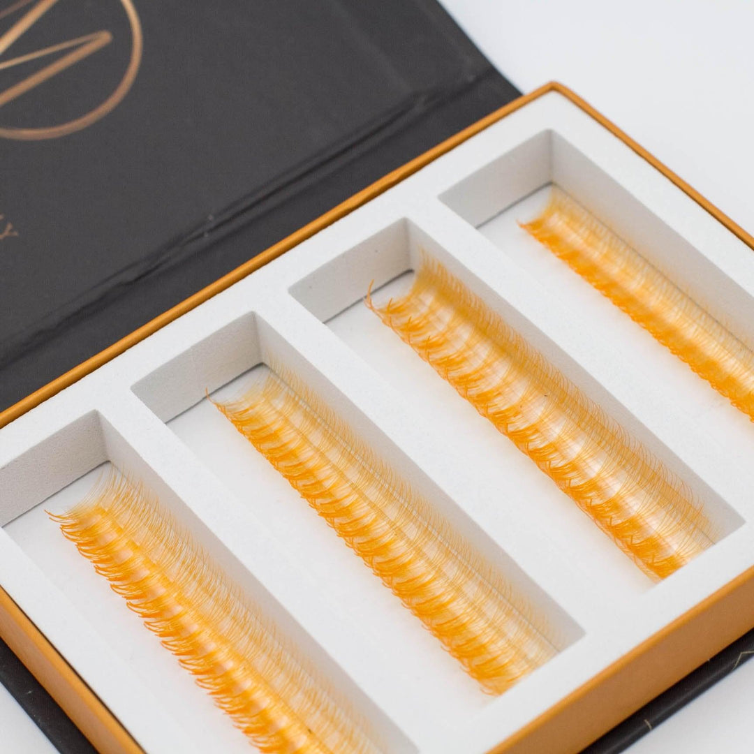 Orange 5D Rapid Promade Fans - 600 Fans - Mega Lash Academy