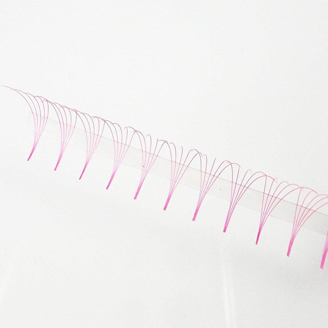 Pink 5D Rapid Promade Fans - 600 Fans - Mega Lash Academy