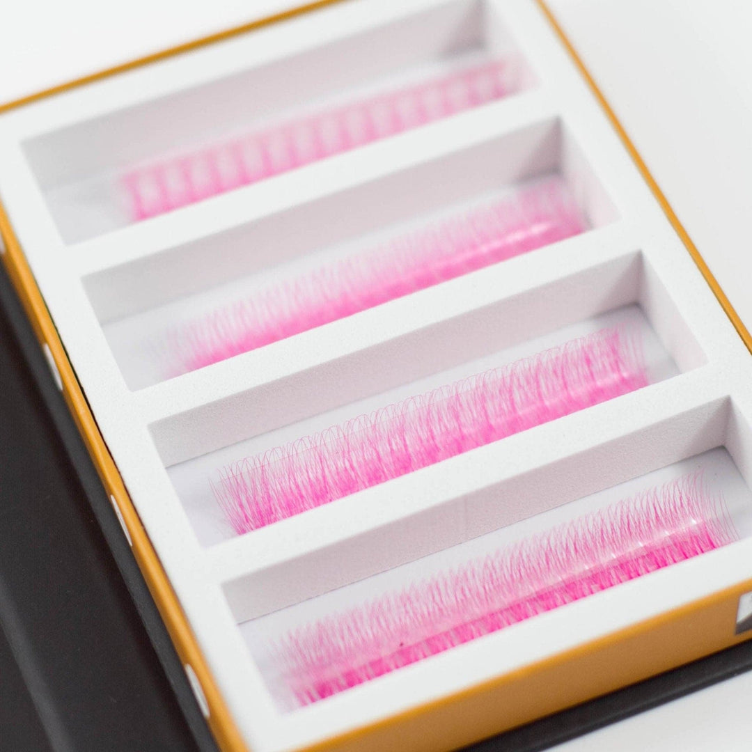 Pink 5D Rapid Promade Fans - 600 Fans - Mega Lash Academy
