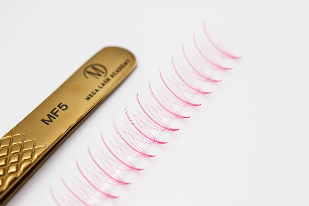 Pink Wispy 5D Rapid Promade Fans - 600 Fans Promade Fans Mega Lash Academy