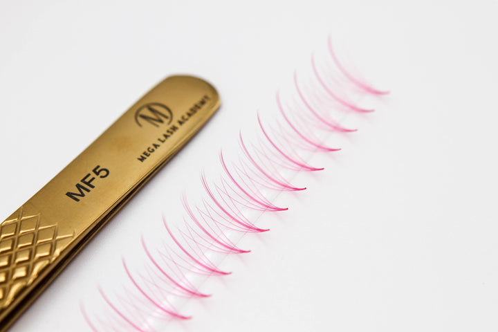 Pink Wispy 5D Rapid Promade Fans - 600 Fans Promade Fans Mega Lash Academy