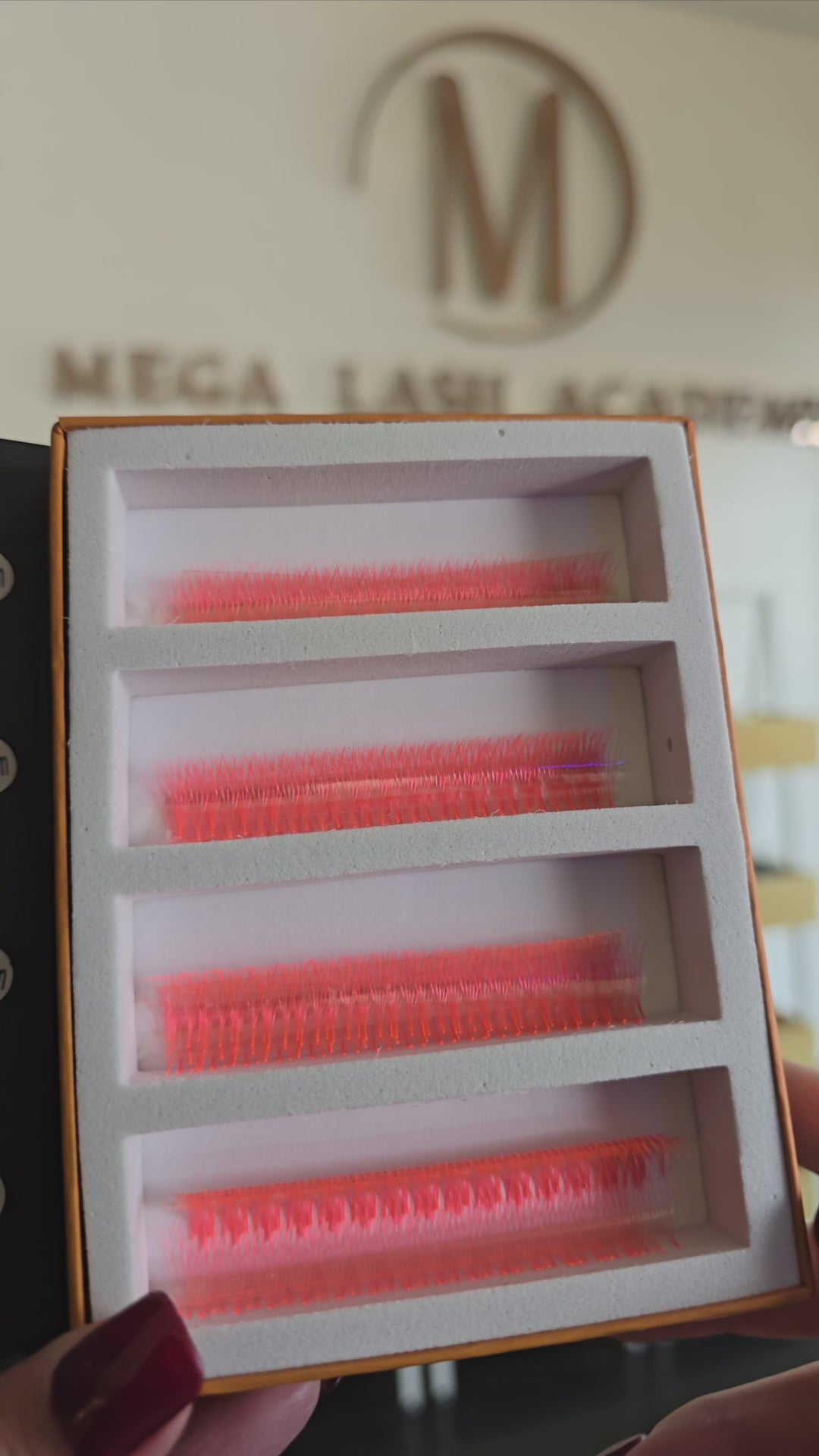 UV - Coral Red 5D Rapid Promade Fans - 600 Fans