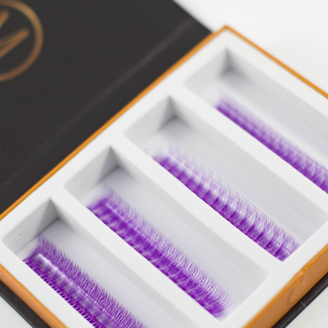 Purple 5D Rapid Promade Fans - 600 Fans - Mega Lash Academy