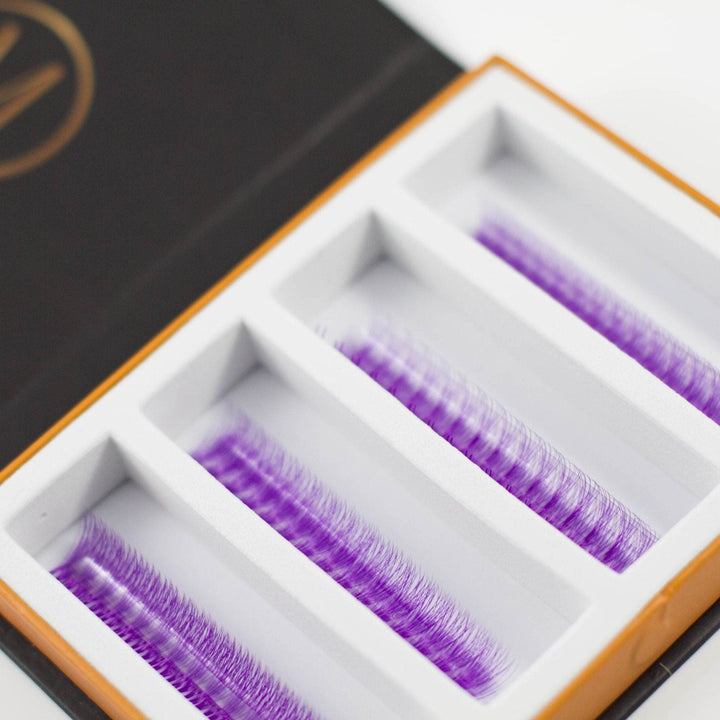 Purple 5D Rapid Promade Fans - 600 Fans - Mega Lash Academy