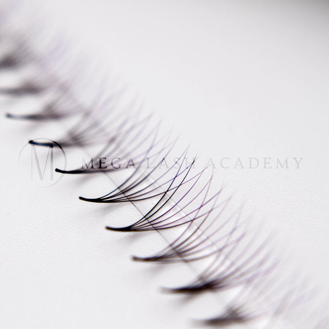 Purple Ombré 6D Rapid Promade Fans - 600 Fans Promade Fans Mega Lash Academy