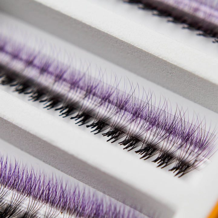 Purple Ombré 6D Rapid Promade Fans - 600 Fans Promade Fans Mega Lash Academy