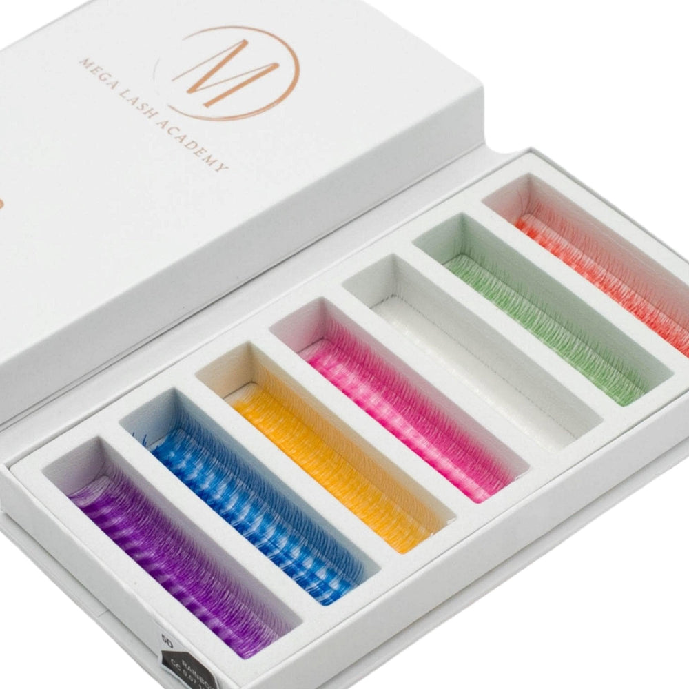 Rainbow Rapid Promade Fans - 1050 Fans - Mega Lash Academy