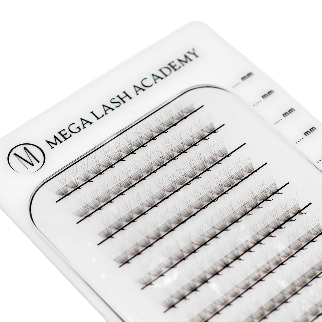 Rapid Starter Kit Accessories Mega Lash Academy