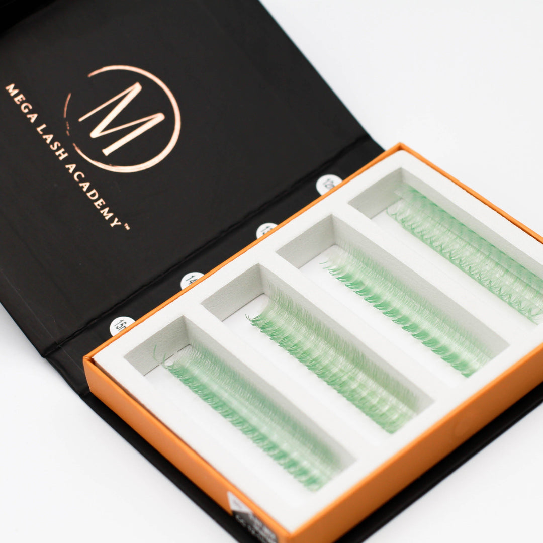 Seafoam 6D Rapid Promade Fans - 600 Fans Promade Fans Mega Lash Academy