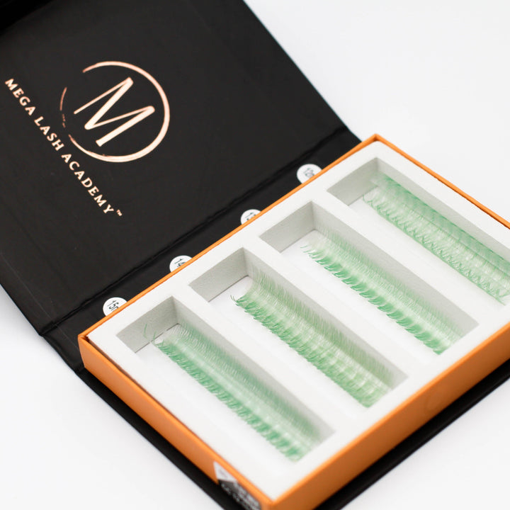Seafoam 6D Rapid Promade Fans - 600 Fans Promade Fans Mega Lash Academy