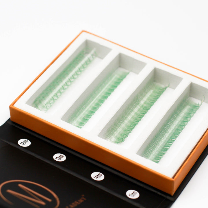 Seafoam 6D Rapid Promade Fans - 600 Fans Promade Fans Mega Lash Academy