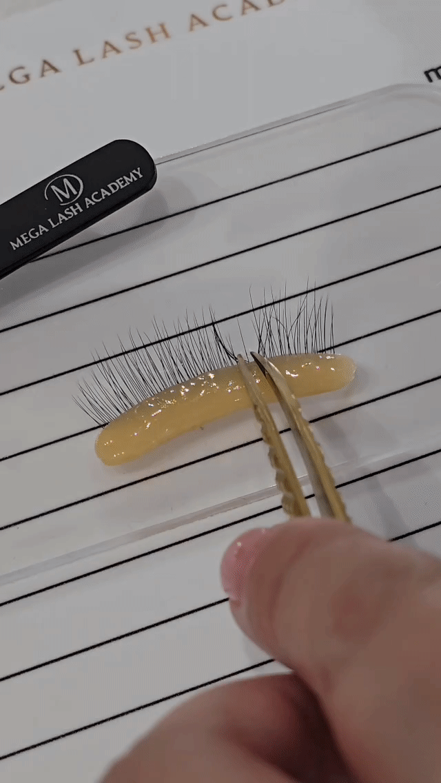 Ultra Real Lash Practice Eyelids Lash Extensions Practice Tray Mega Lash Academy