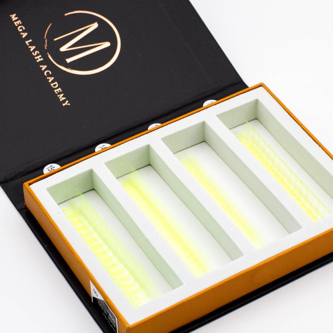 UV - Lemon 5D Rapid Promade Fans - 600 Fans - Mega Lash Academy