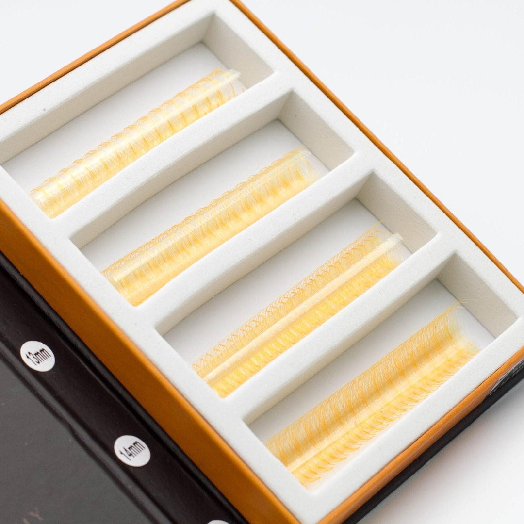 UV - Marigold 5D Rapid Promade Fans - 600 Fans - Mega Lash Academy
