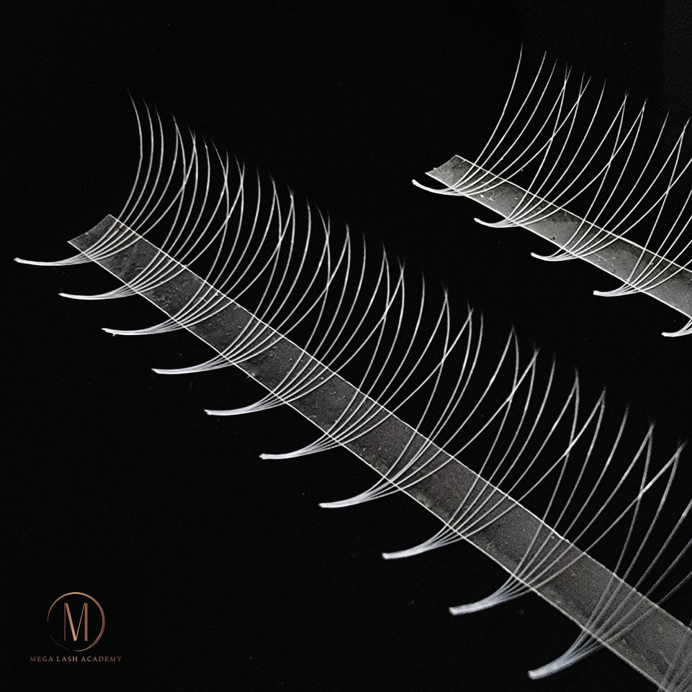 White 5D Rapid Promade Fans - 600 Fans - Mega Lash Academy