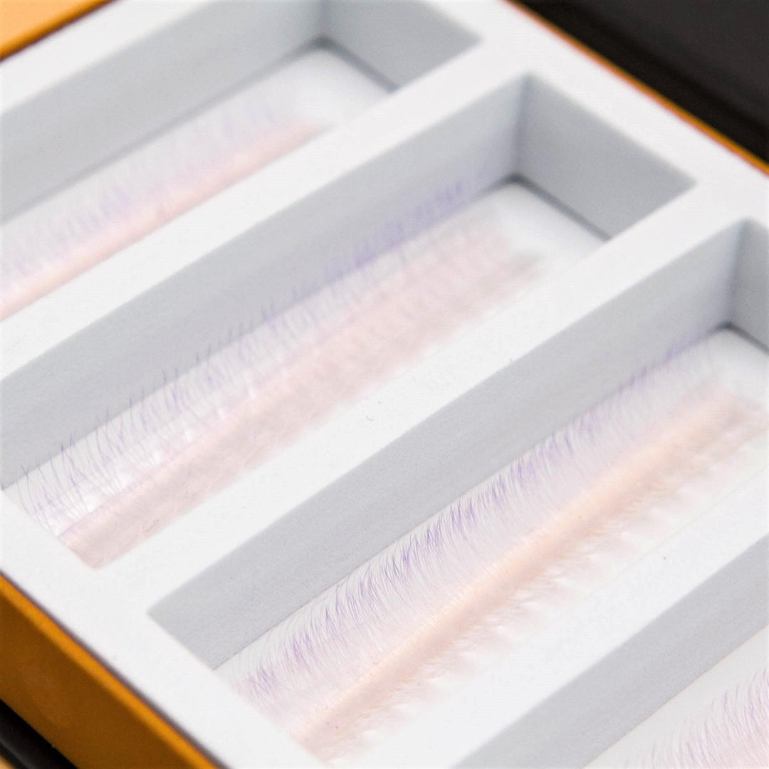 White Lilac Ombré 5D Rapid Promade Fans - 600 Fans - Mega Lash Academy