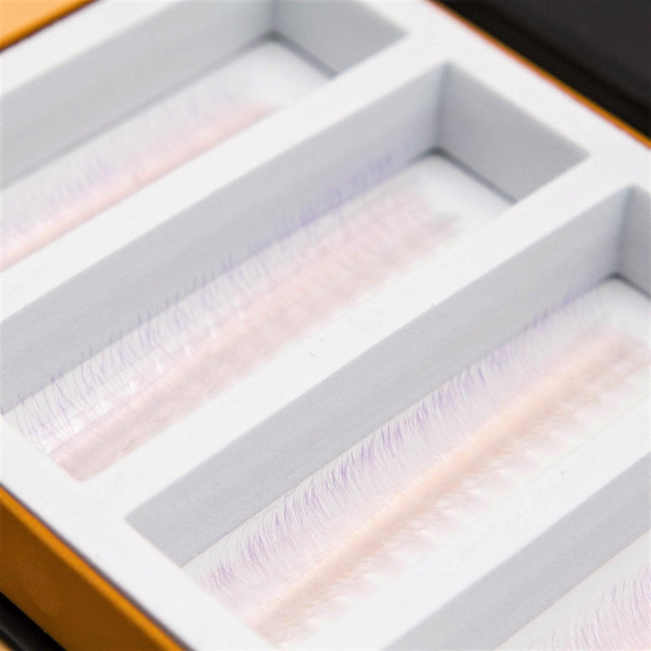 White Lilac Ombré 5D Rapid Promade Fans - 600 Fans - Mega Lash Academy
