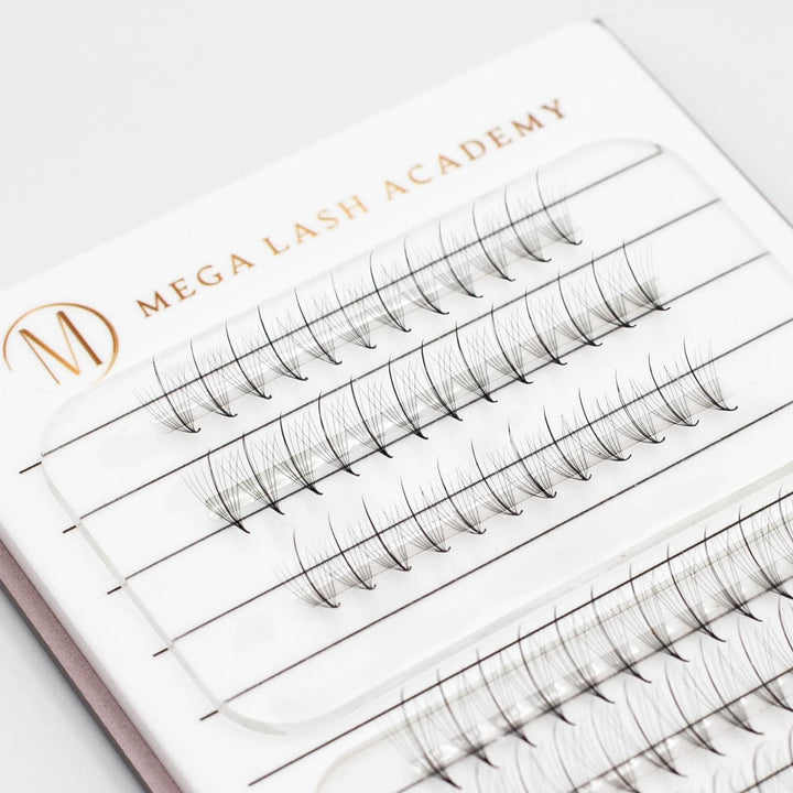 Wispy 9D Rapid Promade Fans - 500 Fans - Mega Lash Academy
