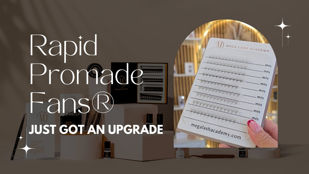 Rapid Promade Fans® Just Got an Upgrade: Here’s Why Lash Artists Are Obsessed