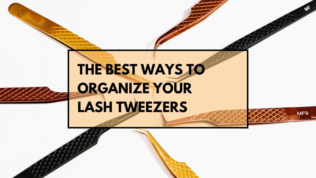 Lash Extension Tweezers Organization for Lash Artists