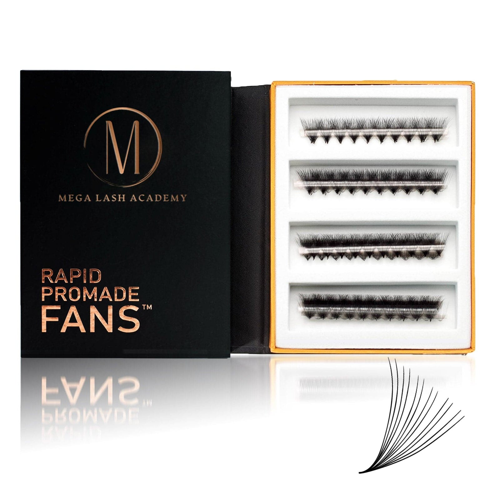 12D Mix Rapid Promade Fans® - 1000 Fans Promade Fans Mega Lash Academy 