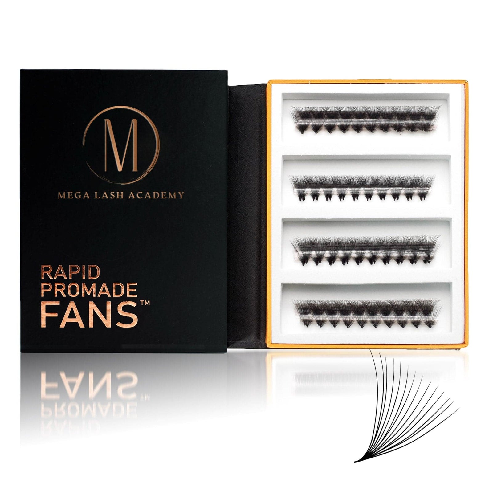 14D Mix Rapid Promade Fans® - 500 Fans Promade Fans Mega Lash Academy 