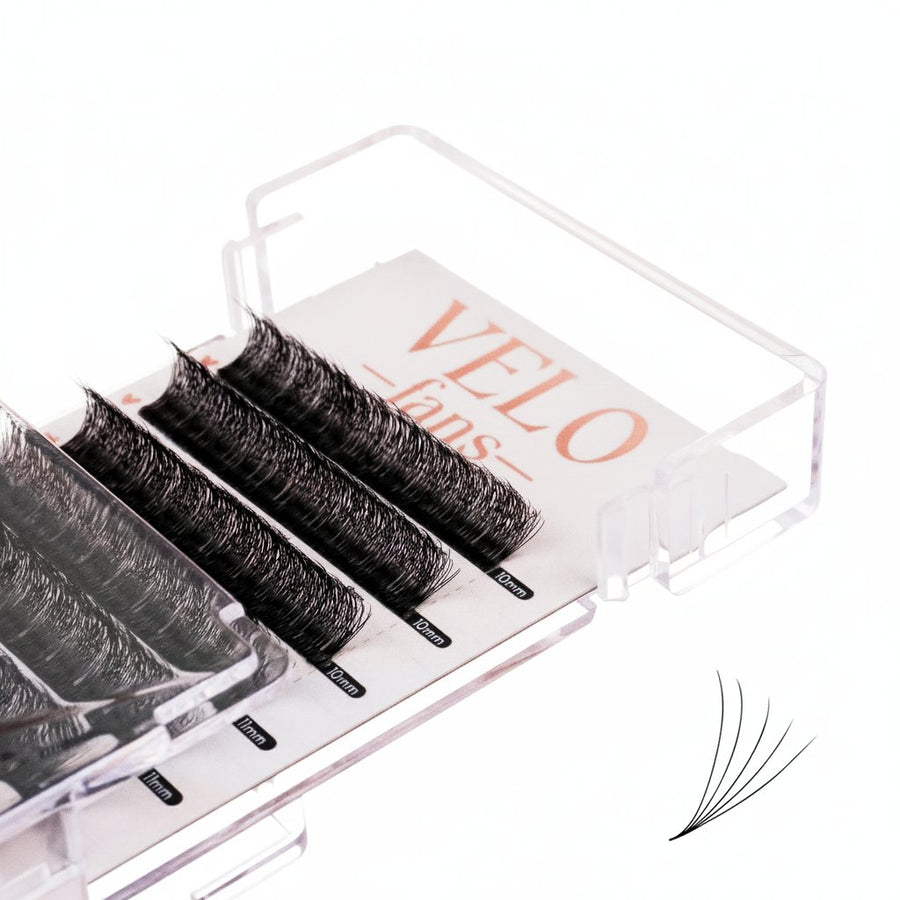 5D Velo Fans Mega Lash Academy 