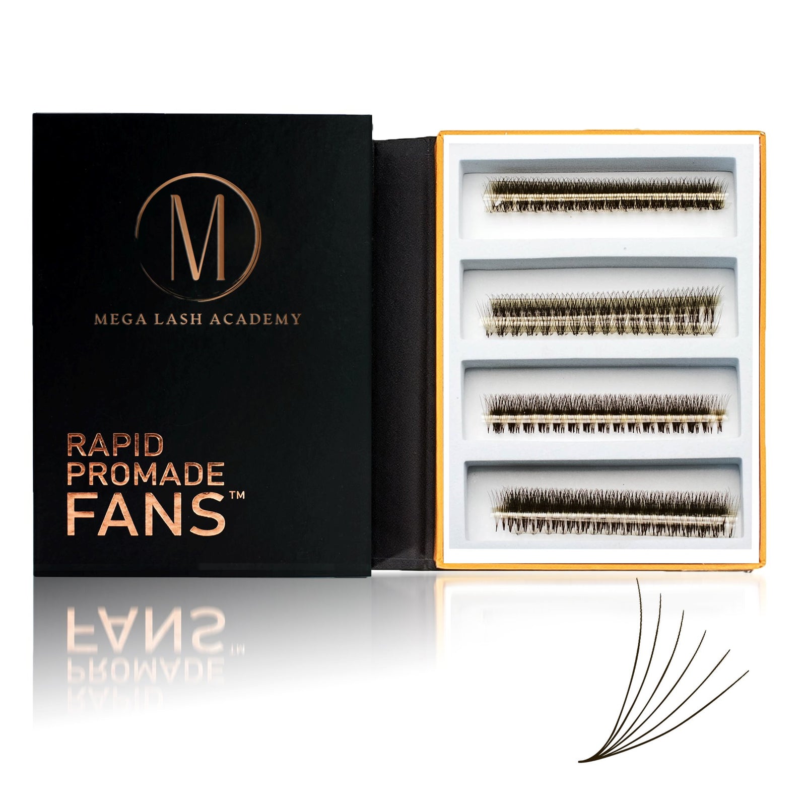 6D Brown Rapid Promade Fans - Coffee Promade Fans Mega Lash Academy 0.07 CC 8-9-10-11