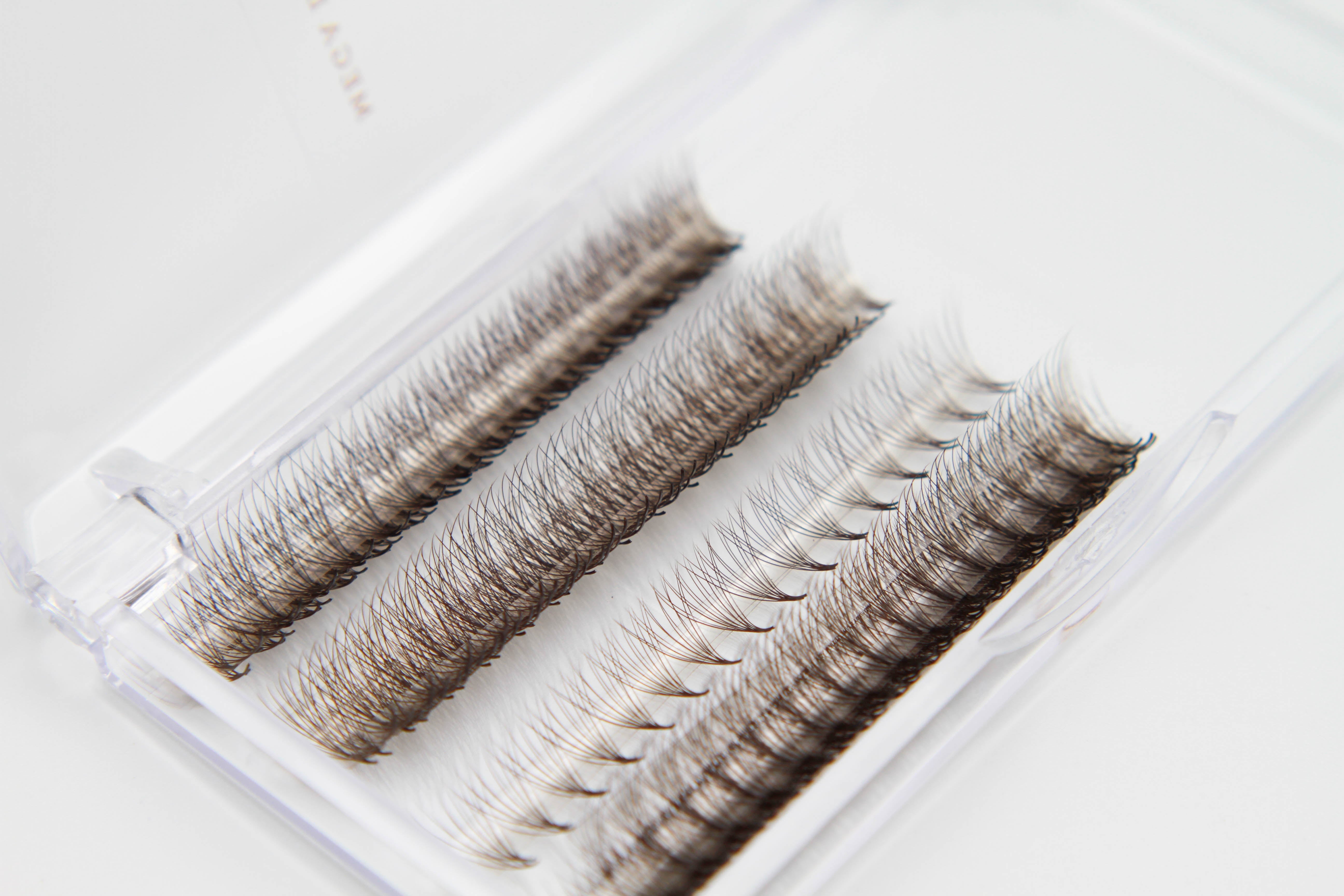 Coffee Brown 6D Rapid Promade Fans | Brown Volume Lashes