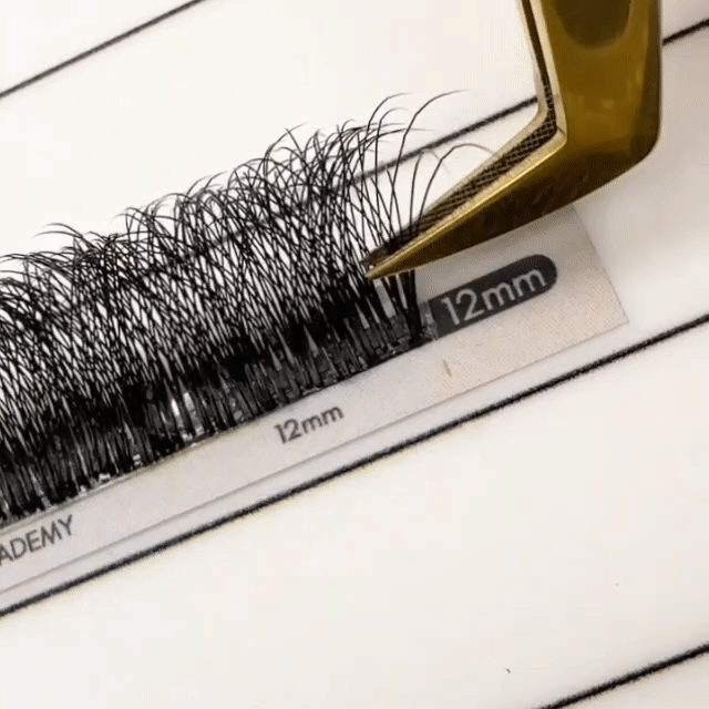 8D Velo Fans Mega Lash Academy 