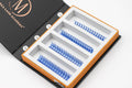 Blue Wispy 5D Rapid Promade Fans - 600 Fans Promade Fans Mega Lash Academy 