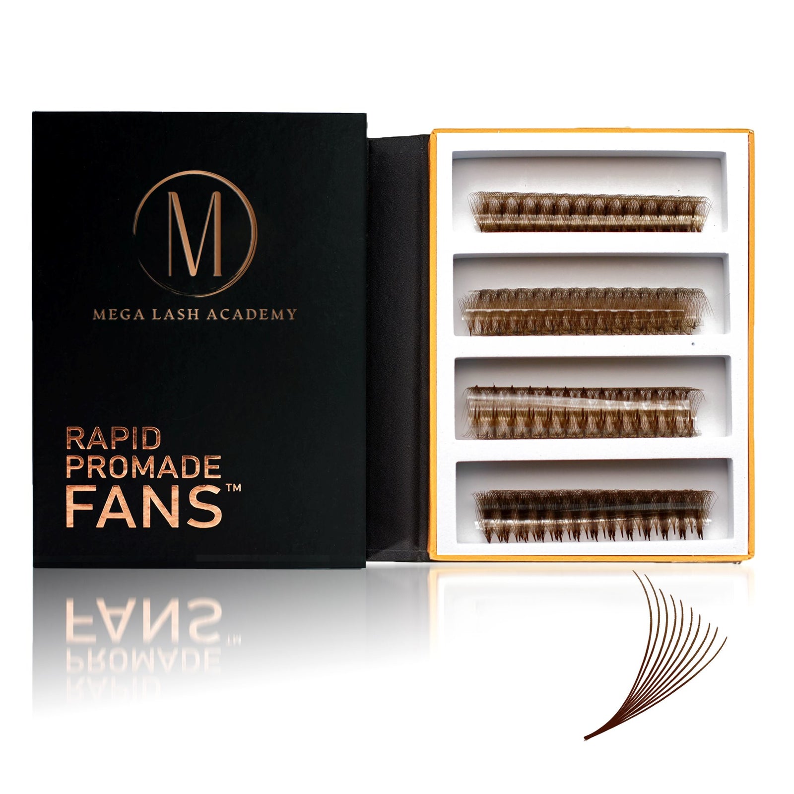 Brown 10D Rapid Promade Fans - 600 Fans Promade Fans Mega Lash Academy 