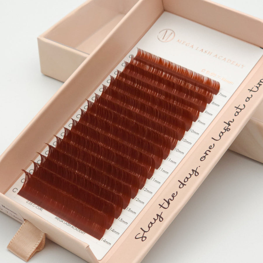 Brown Cashmere Volume - Maroon Lash Trays Mega Lash Academy 