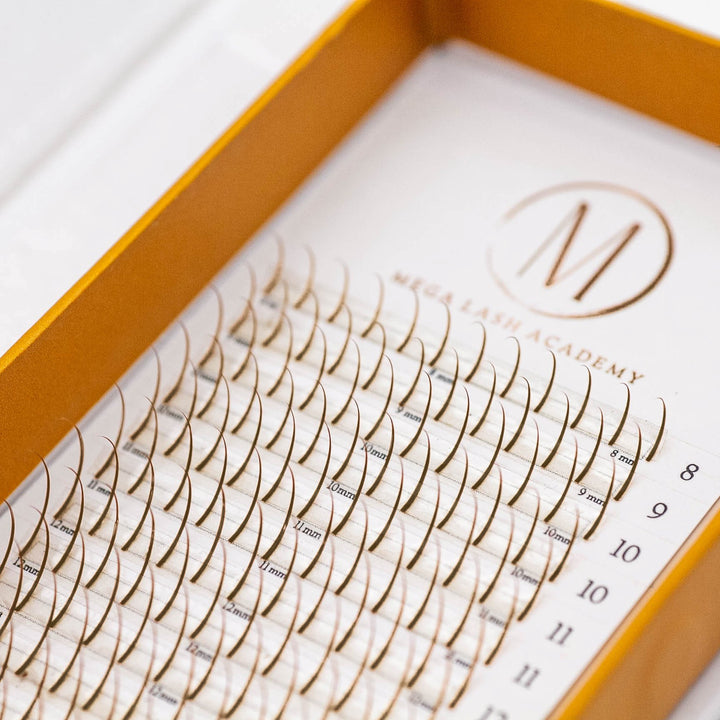 Brown Promade Spikes Lash Trays Mega Lash Academy 