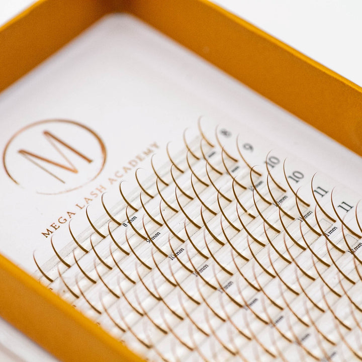 Brown Promade Spikes Lash Trays Mega Lash Academy 