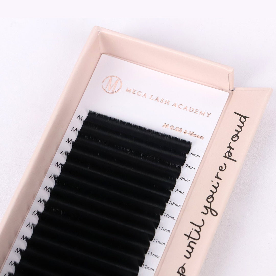 Cashmere Matte Volume - Easy Fanning Lashes Lash Trays Mega Lash Academy 