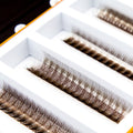 Dark Brown 5D Rapid Promade Fans Promade Fans Mega Lash Academy 
