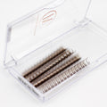 Dark Brown 5D Rapid Promade Fans Promade Fans Mega Lash Academy 0.07 CC 8