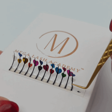 Decal Spikes Lash Trays Mega Lash Academy 