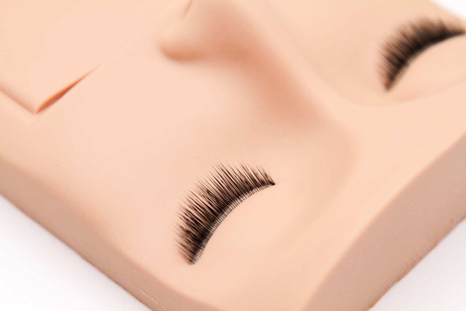 Lash Practice Mannequin Pad with Lash Layers Lash Extensions Practice Tray Mega Lash Academy 