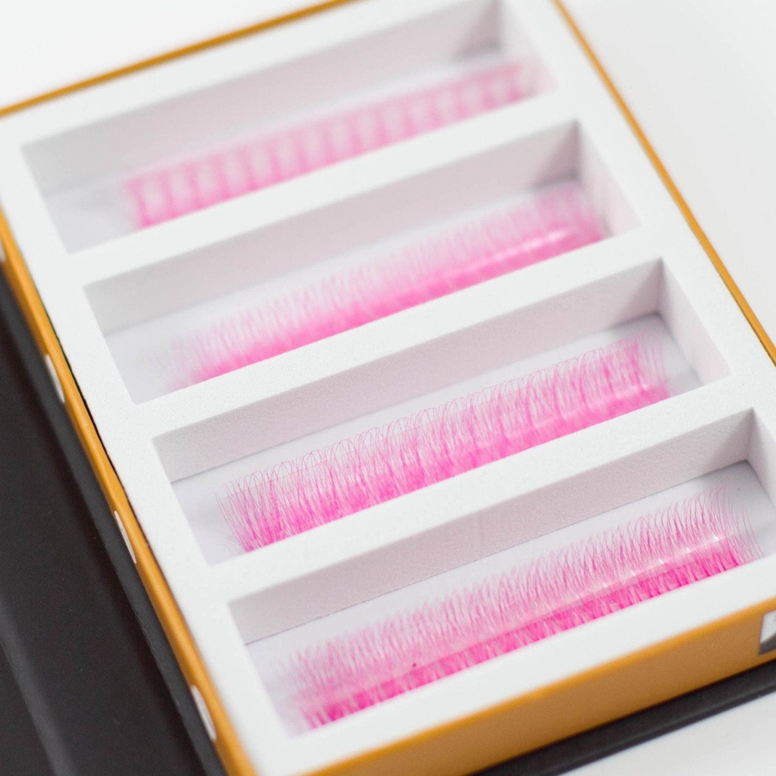 Pink 5D Rapid Promade Fans - 600 Fans - Mega Lash Academy