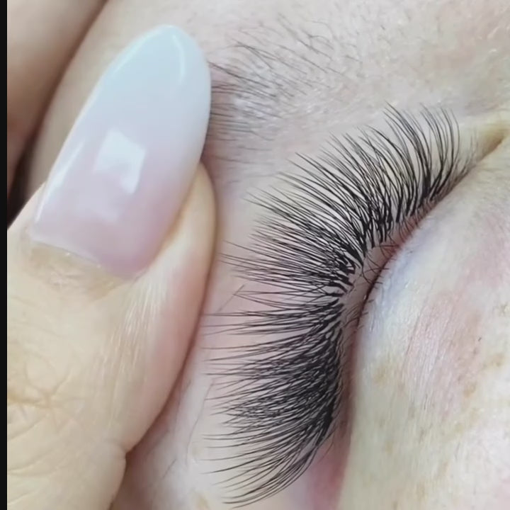 Skinny Clover Lash Tray