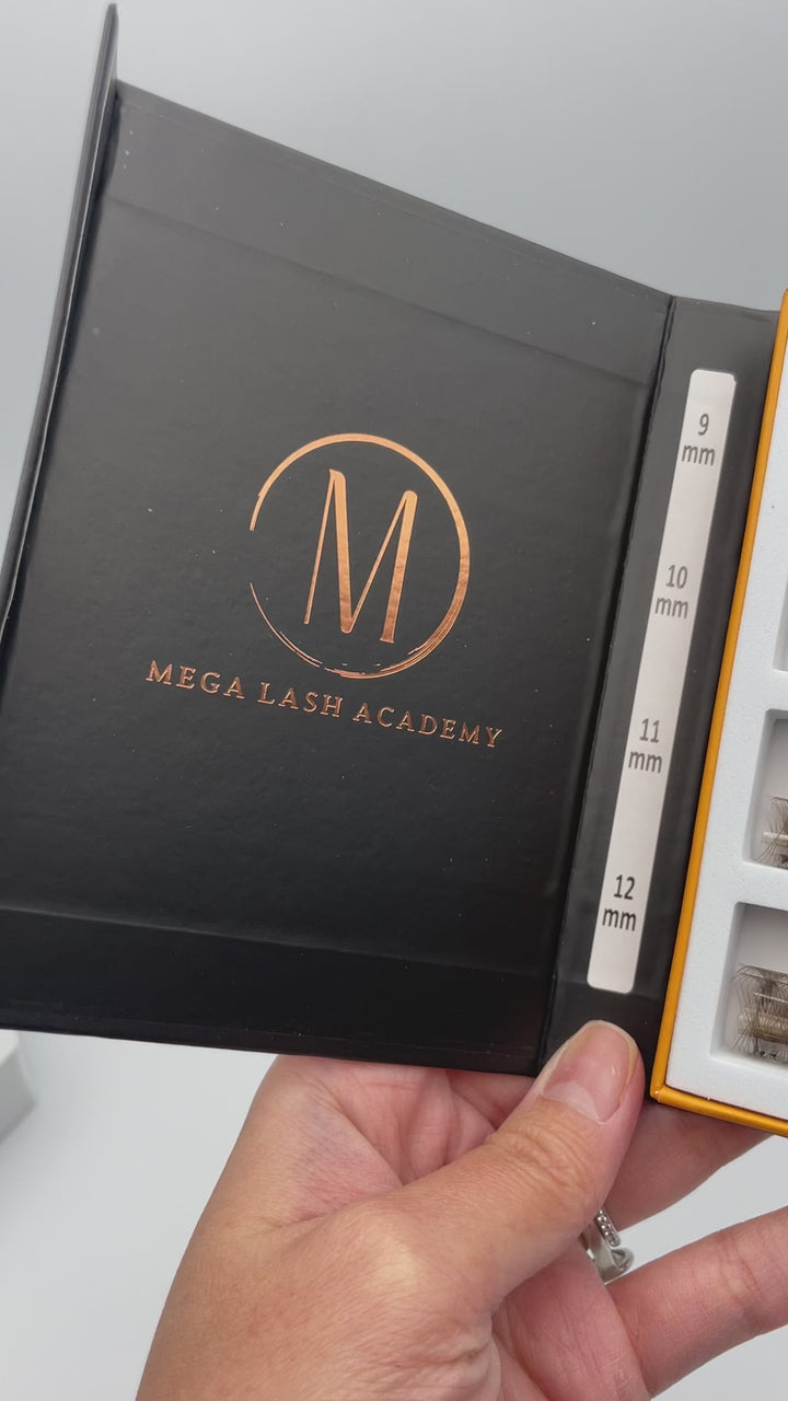 10D Brown Rapid Promade Fans